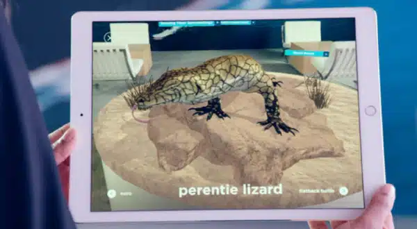 Perentie-lizard